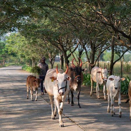 Hotel Sterling Stolen Heaven Lonavla Zewnętrze zdjęcie