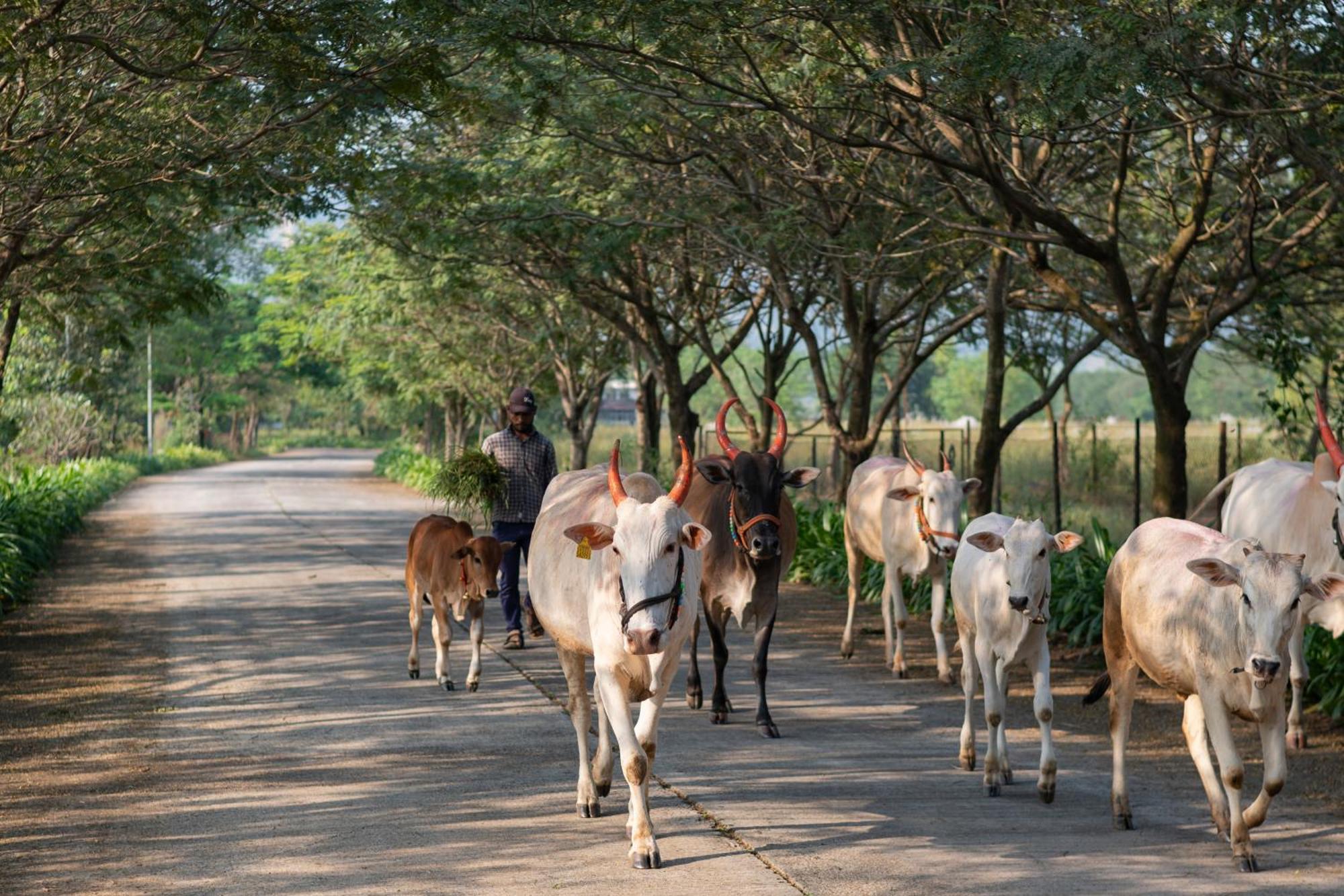 Hotel Sterling Stolen Heaven Lonavla Zewnętrze zdjęcie