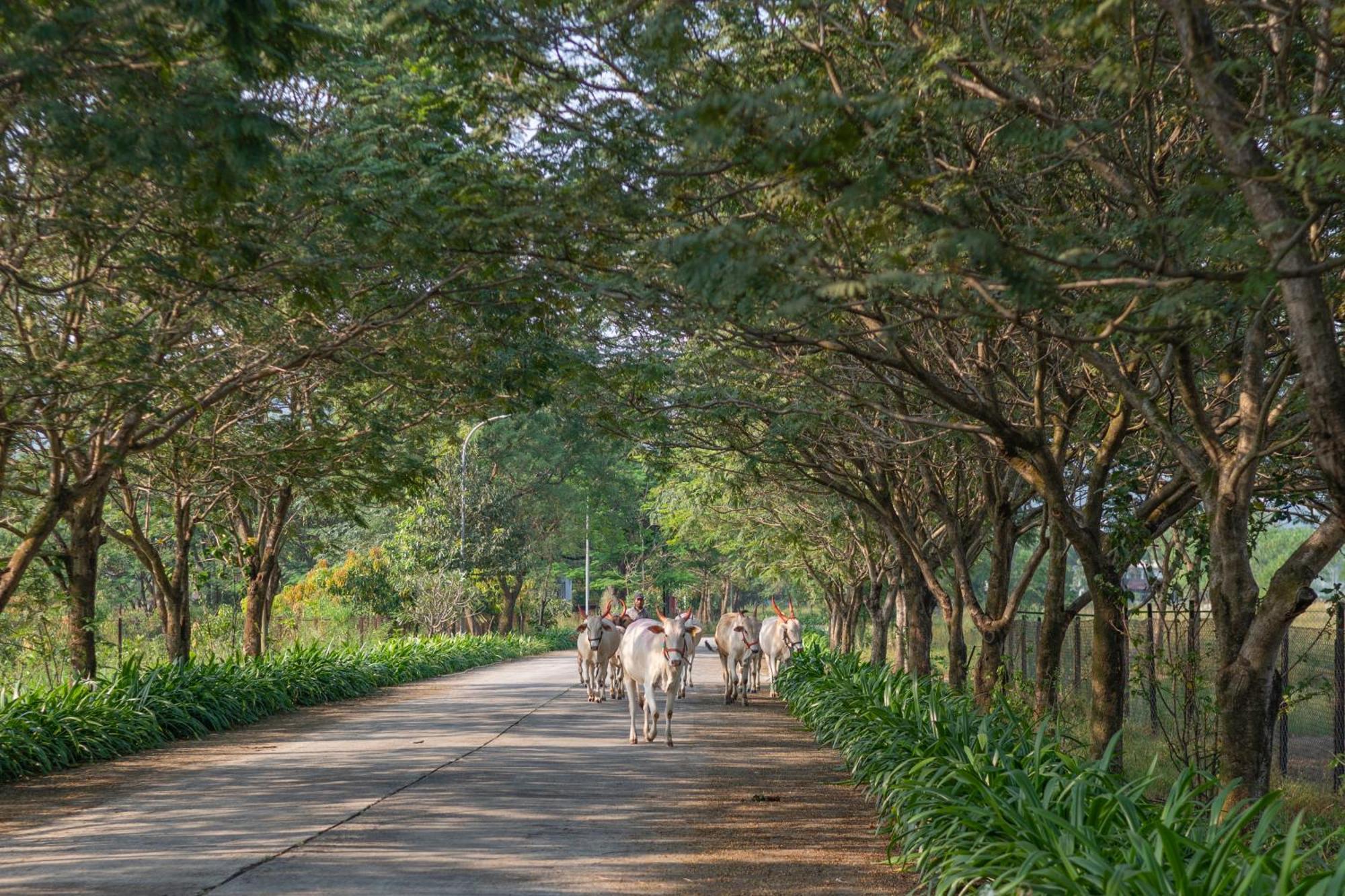 Hotel Sterling Stolen Heaven Lonavla Zewnętrze zdjęcie